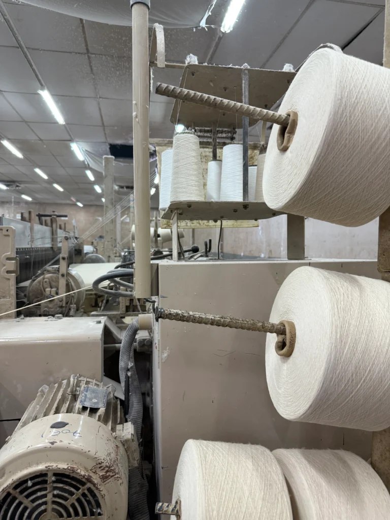 The Evolution of Kids’ Apparel: Trends and Innovations